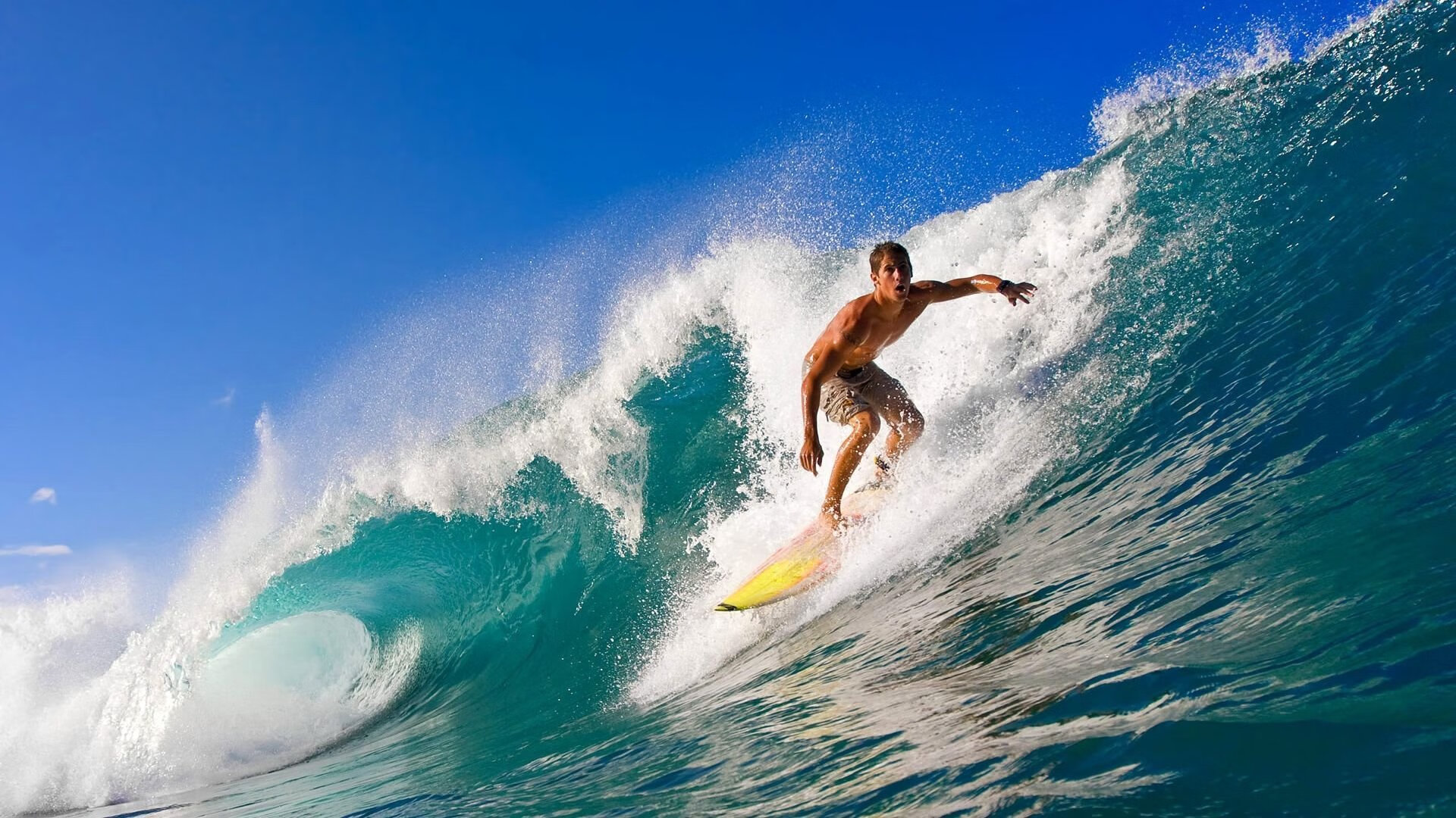 球迷文化的力量,从看台到社区,体育精神如何凝聚人心